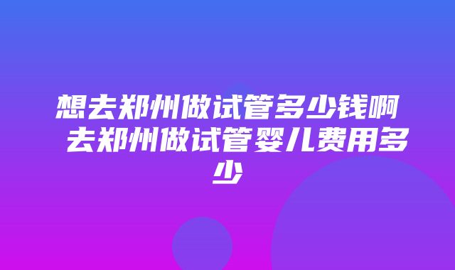 想去郑州做试管多少钱啊 去郑州做试管婴儿费用多少