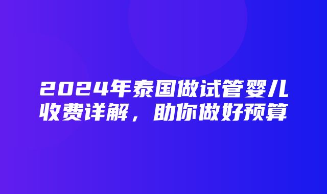 2024年泰国做试管婴儿收费详解，助你做好预算