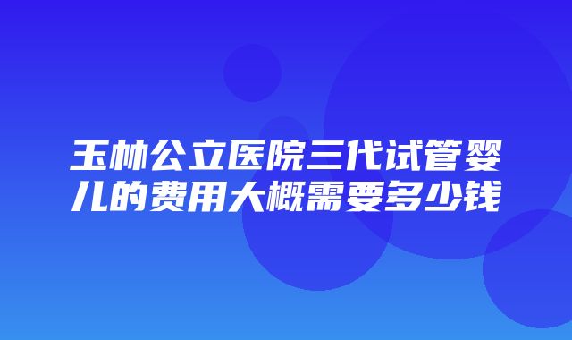 玉林公立医院三代试管婴儿的费用大概需要多少钱