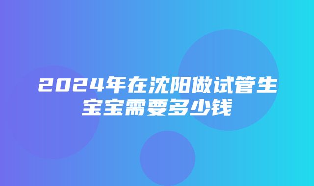 2024年在沈阳做试管生宝宝需要多少钱