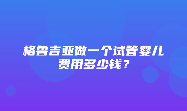 格鲁吉亚做一个试管婴儿费用多少钱？