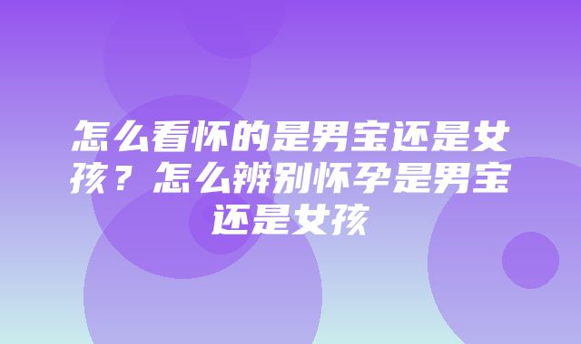 怎么看怀的是男宝还是女孩？怎么辨别怀孕是男宝还是女孩