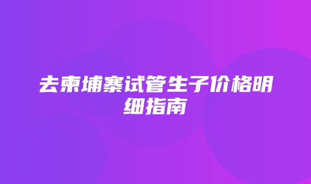 去柬埔寨试管生子价格明细指南