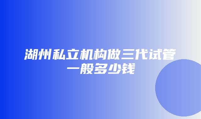 湖州私立机构做三代试管一般多少钱