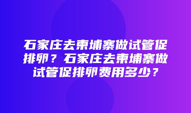 石家庄去柬埔寨做试管促排卵？石家庄去柬埔寨做试管促排卵费用多少？