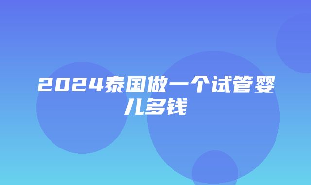 2024泰国做一个试管婴儿多钱