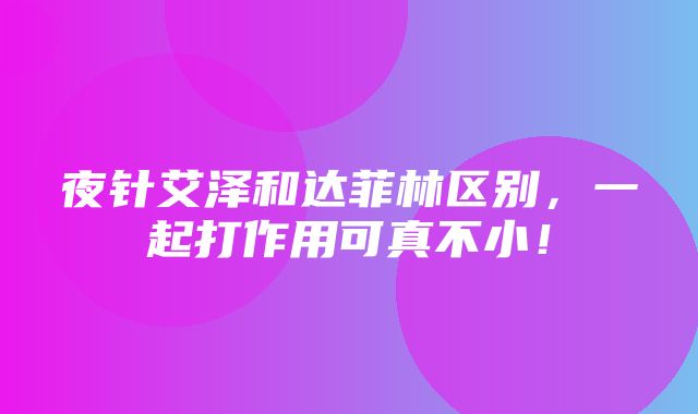 夜针艾泽和达菲林区别，一起打作用可真不小！