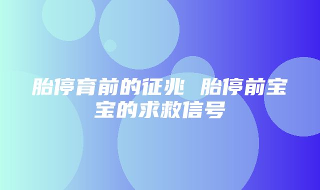 胎停育前的征兆 胎停前宝宝的求救信号