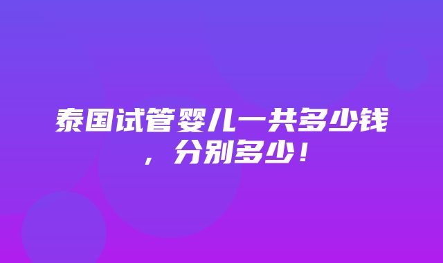 泰国试管婴儿一共多少钱，分别多少！