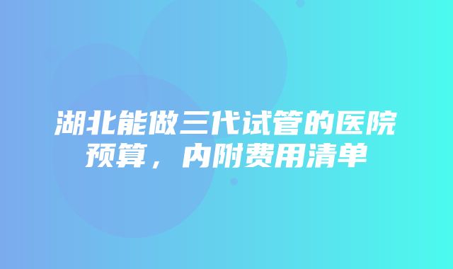 湖北能做三代试管的医院预算，内附费用清单