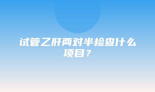 试管乙肝两对半检查什么项目？