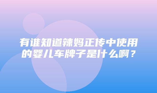 有谁知道辣妈正传中使用的婴儿车牌子是什么啊？