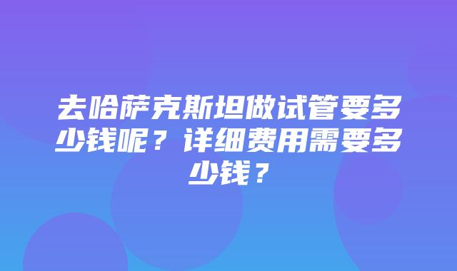 去哈萨克斯坦做试管要多少钱呢？详细费用需要多少钱？