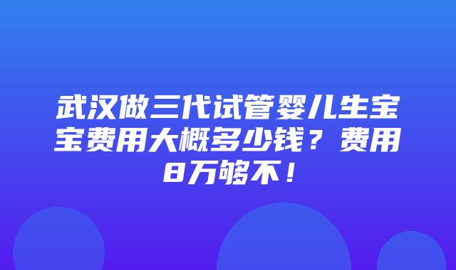 武汉做三代试管婴儿生宝宝费用大概多少钱？费用8万够不！