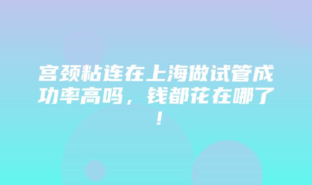 宫颈粘连在上海做试管成功率高吗，钱都花在哪了！