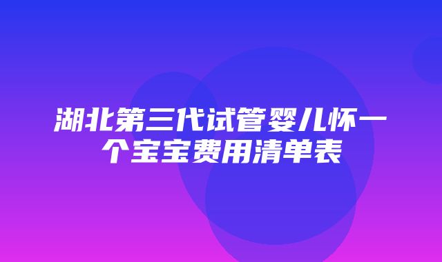 湖北第三代试管婴儿怀一个宝宝费用清单表