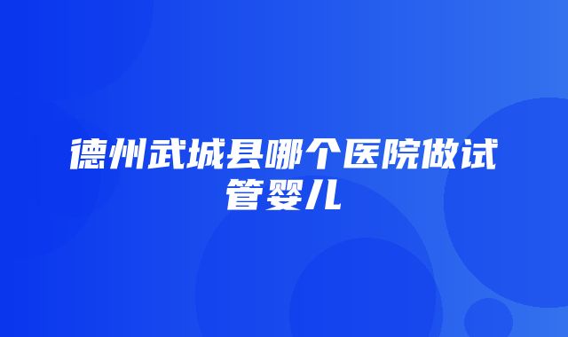 德州武城县哪个医院做试管婴儿