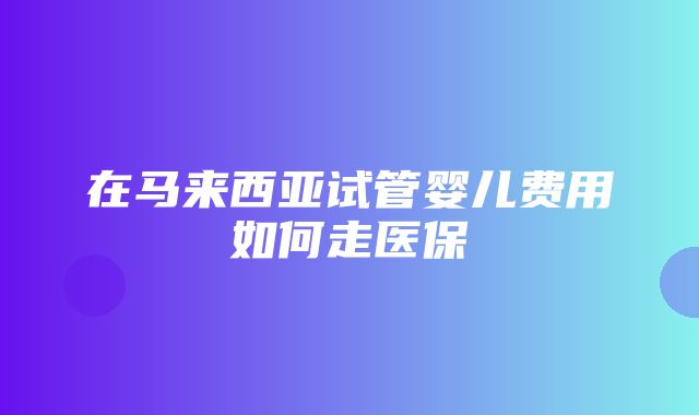 在马来西亚试管婴儿费用如何走医保