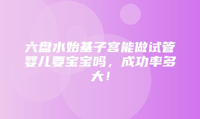 六盘水始基子宫能做试管婴儿要宝宝吗，成功率多大！