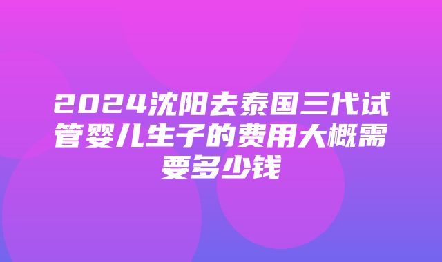 2024沈阳去泰国三代试管婴儿生子的费用大概需要多少钱