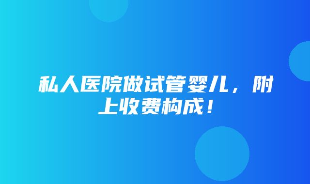 私人医院做试管婴儿，附上收费构成！