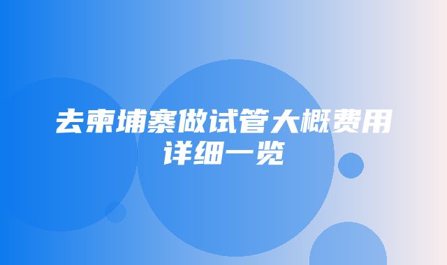 去柬埔寨做试管大概费用详细一览