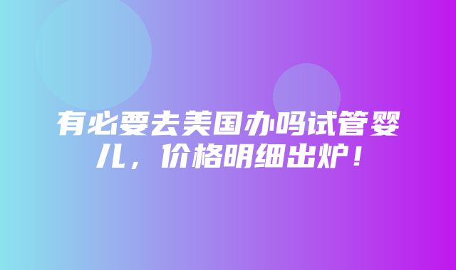 有必要去美国办吗试管婴儿，价格明细出炉！