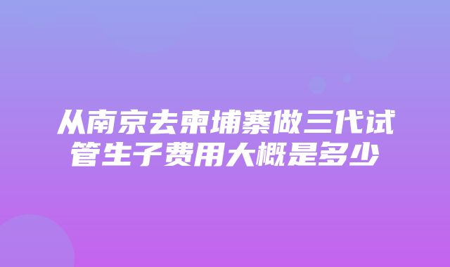 从南京去柬埔寨做三代试管生子费用大概是多少