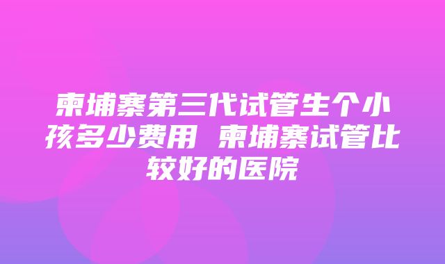 柬埔寨第三代试管生个小孩多少费用 柬埔寨试管比较好的医院