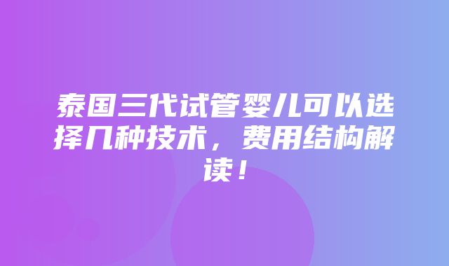 泰国三代试管婴儿可以选择几种技术，费用结构解读！