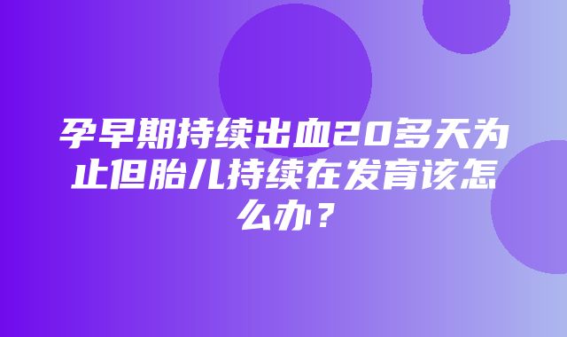 孕早期持续出血20多天为止但胎儿持续在发育该怎么办？