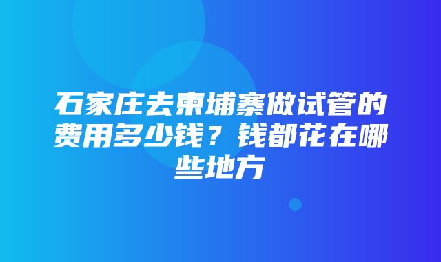 石家庄去柬埔寨做试管的费用多少钱？钱都花在哪些地方