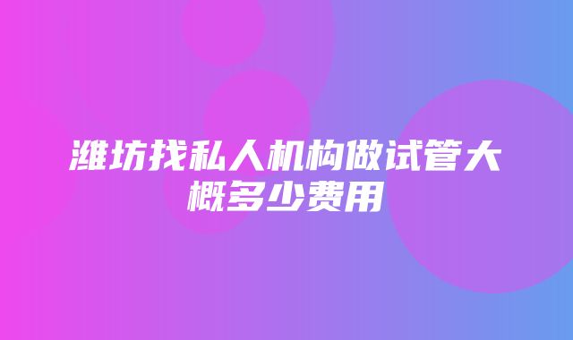 潍坊找私人机构做试管大概多少费用