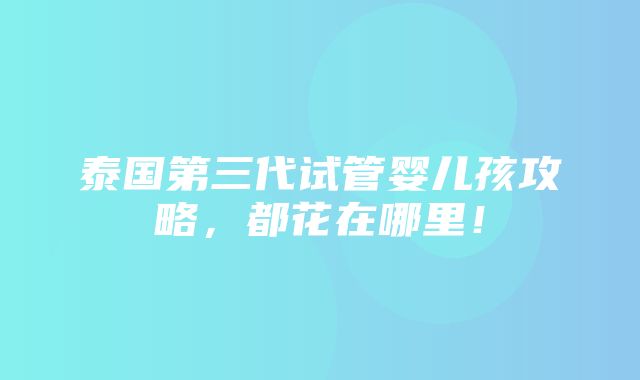 泰国第三代试管婴儿孩攻略，都花在哪里！