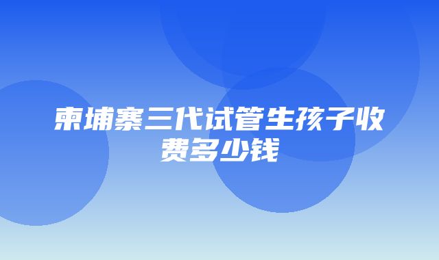 柬埔寨三代试管生孩子收费多少钱