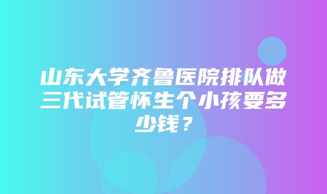 山东大学齐鲁医院排队做三代试管怀生个小孩要多少钱？