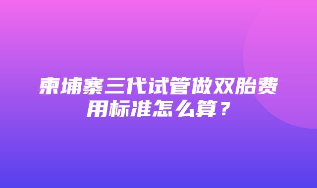 柬埔寨三代试管做双胎费用标准怎么算？