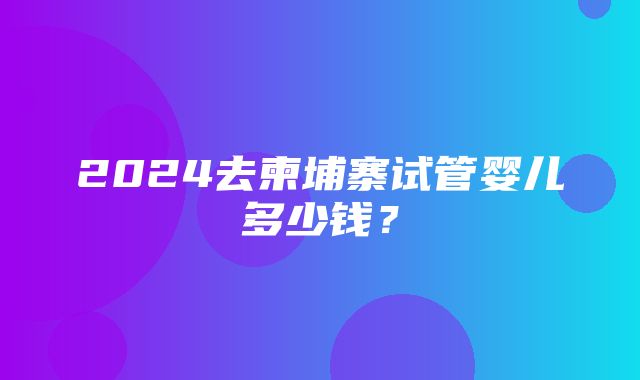 2024去柬埔寨试管婴儿多少钱？