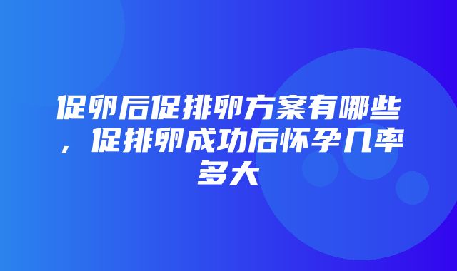 促卵后促排卵方案有哪些，促排卵成功后怀孕几率多大