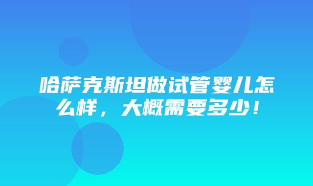 哈萨克斯坦做试管婴儿怎么样，大概需要多少！