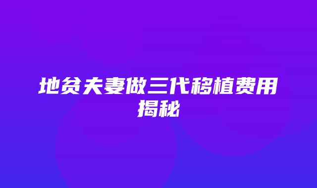 地贫夫妻做三代移植费用揭秘