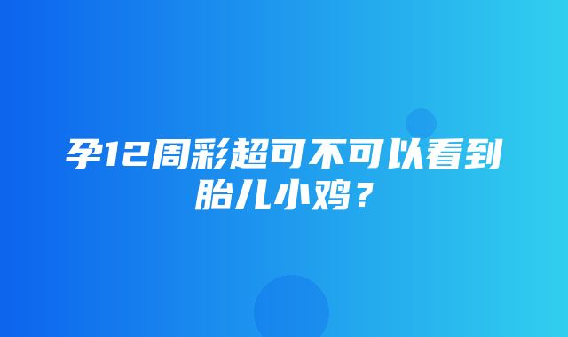 孕12周彩超可不可以看到胎儿小鸡？