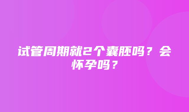 试管周期就2个囊胚吗？会怀孕吗？