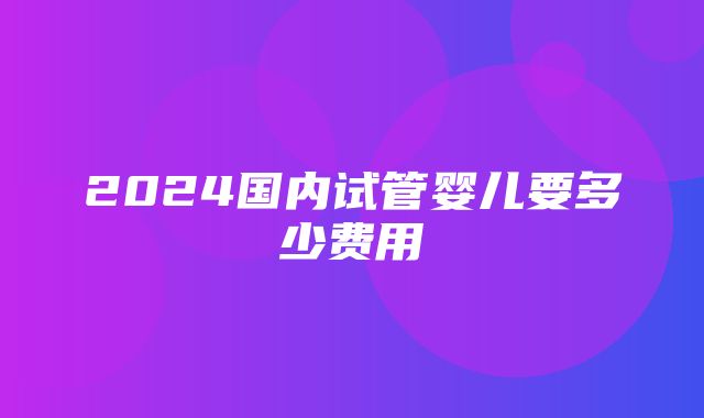 2024国内试管婴儿要多少费用