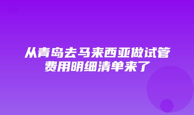 从青岛去马来西亚做试管费用明细清单来了