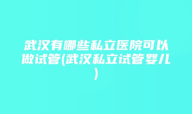 武汉有哪些私立医院可以做试管(武汉私立试管婴儿)