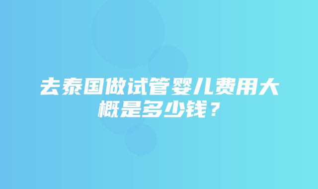 去泰国做试管婴儿费用大概是多少钱？