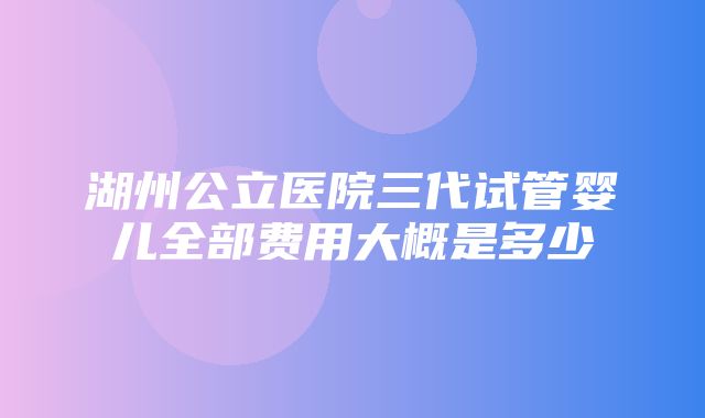 湖州公立医院三代试管婴儿全部费用大概是多少