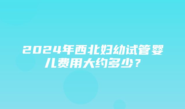 2024年西北妇幼试管婴儿费用大约多少？