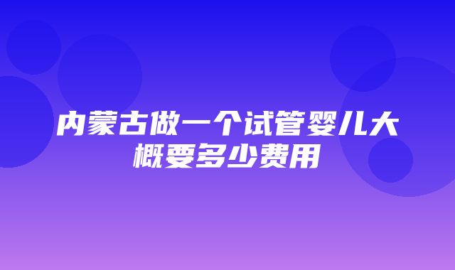 内蒙古做一个试管婴儿大概要多少费用